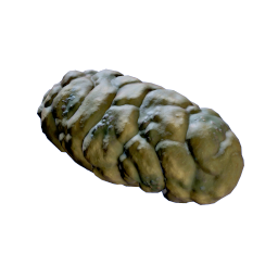 Crab Feces