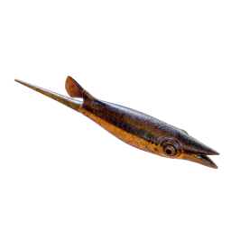 Cooked Black Hoverthorn