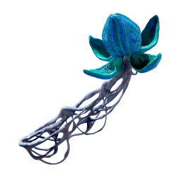 Bloom Canker