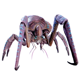 Coral Crab