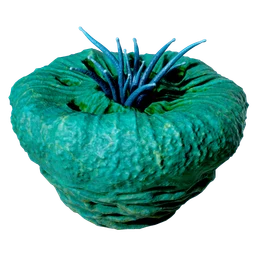Donut of Worms
