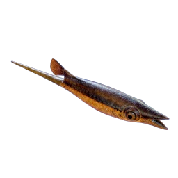 Cooked Black Hoverthorn