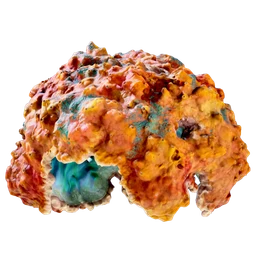 Coral Dome